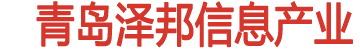 青島澤邦信息產業有限公司